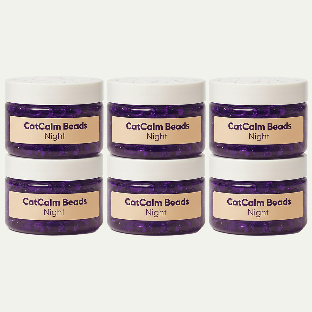 CatCalm Beads Night - Loop subscription Testing...